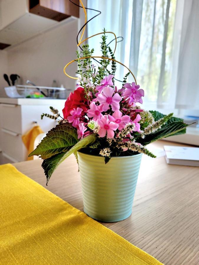 דורנבירן Apartment Sonnenschein מראה חיצוני תמונה